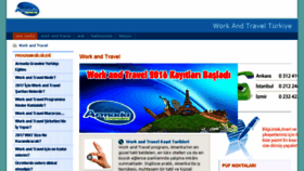 What Workandtravelturkiye.com website looked like in 2017 (8 years ago)