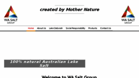 What Wasalt.com.au website looked like in 2017 (6 years ago)