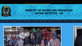 What Waterinstitute.ac.tz website looked like in 2017 (6 years ago)
