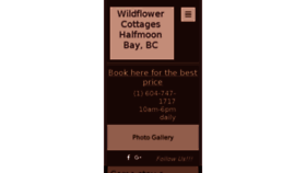 What Wildflowers-bb.com website looked like in 2017 (6 years ago)