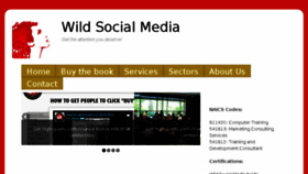 What Wildsocialmedia.com website looked like in 2017 (6 years ago)