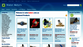 What Watermeters.com.au website looked like in 2017 (6 years ago)