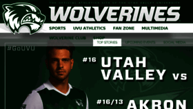 What Wolverinegreen.com website looked like in 2017 (6 years ago)