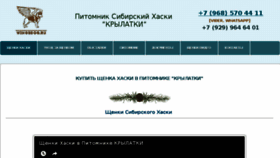 What Wingsdog.ru website looked like in 2017 (6 years ago)