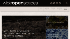 What Wideopenspaces.com website looked like in 2018 (6 years ago)