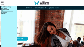 What Willowpump.com website looked like in 2018 (6 years ago)