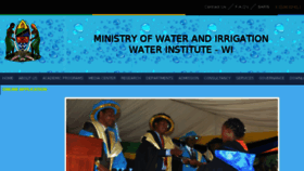 What Waterinstitute.ac.tz website looked like in 2018 (6 years ago)