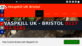 What Waspkilluk.co.uk website looked like in 2018 (6 years ago)