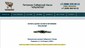 What Wingsdog.ru website looked like in 2018 (6 years ago)