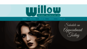 What Willoworganicsalon.com website looked like in 2018 (6 years ago)