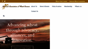 What Wheatworld.org website looked like in 2018 (5 years ago)