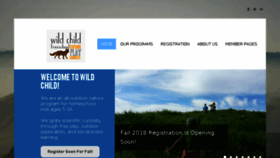 What Wildchildfreeschool.org website looked like in 2018 (5 years ago)