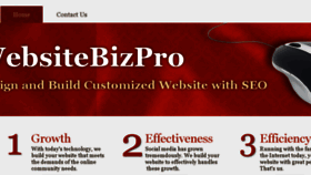 What Websitebizpro.com website looked like in 2018 (5 years ago)