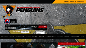 What Wbspenguins.com website looked like in 2018 (5 years ago)