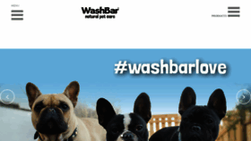 What Washbar.com website looked like in 2018 (5 years ago)
