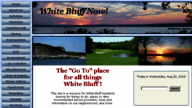 What Whitebluffnow.com website looked like in 2018 (5 years ago)