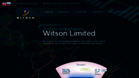 What Witson.biz website looked like in 2018 (5 years ago)