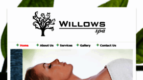 What Willowsspa.in website looked like in 2018 (5 years ago)