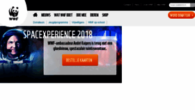 What Wnf.nl website looked like in 2018 (5 years ago)