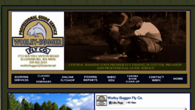 What Worleybuggerflyco.com website looked like in 2018 (5 years ago)