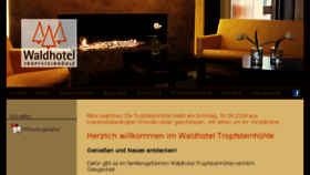 What Waldhotel-wiehl.de website looked like in 2018 (5 years ago)