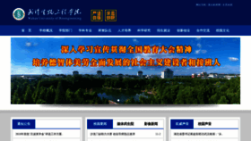 What Whsw.cn website looked like in 2018 (5 years ago)