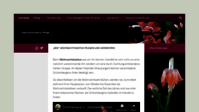 What Weihnachtskaktus.com website looked like in 2018 (5 years ago)