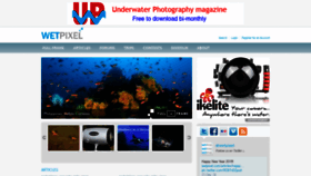 What Wetpixel.com website looked like in 2019 (5 years ago)