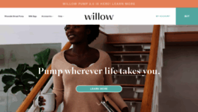 What Willowpump.com website looked like in 2019 (5 years ago)