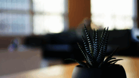 What Wpsocialninja.com website looked like in 2019 (7 years ago)