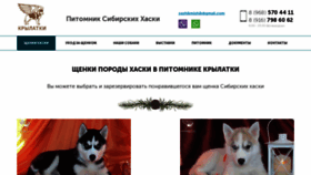 What Wingsdog.ru website looked like in 2019 (5 years ago)