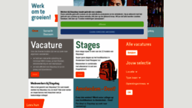 What Werkenbijstayokay.com website looked like in 2019 (5 years ago)