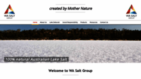 What Wasalt.com.au website looked like in 2019 (5 years ago)