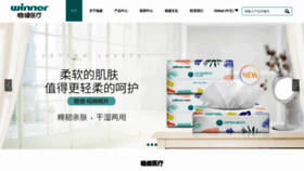 What Winnermedical.cn website looked like in 2019 (4 years ago)