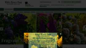 What Whiteflowerfarm.com website looked like in 2019 (4 years ago)