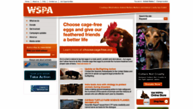 What Wspa-usa.org website looked like in 2019 (4 years ago)