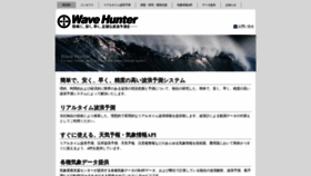 What Wavehunter.biz website looked like in 2019 (4 years ago)