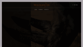 What Wildlife24.com website looked like in 2019 (4 years ago)