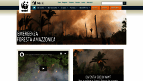 What Wwf.it website looked like in 2019 (5 years ago)