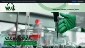 What Wake.cz website looked like in 2019 (6 years ago)