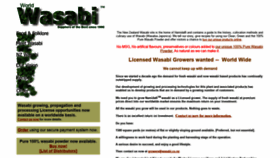 What Wasabi.co.nz website looked like in 2019 (4 years ago)