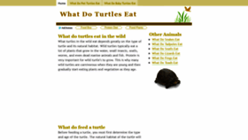 What What-do-turtles-eat.info website looked like in 2019 (4 years ago)