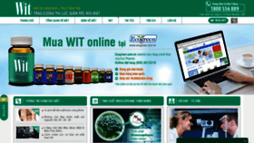 What Wit-ecogreen.com.vn website looked like in 2019 (4 years ago)