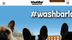 What Washbar.com website looked like in 2019 (4 years ago)