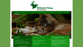 What Wildpark-poing.net website looked like in 2019 (4 years ago)