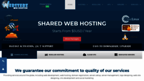 What Websterz.net website looked like in 2019 (4 years ago)