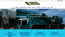 What Waikatoaucklandcranes.co.nz website looked like in 2019 (4 years ago)