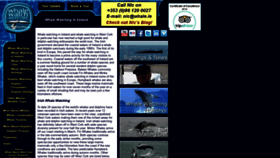 What Whalewatchwestcork.com website looked like in 2019 (4 years ago)