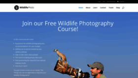 What Wildlifephoto.com website looked like in 2019 (4 years ago)