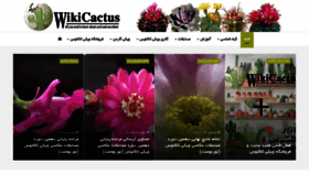 What Wikicactus.com website looked like in 2019 (4 years ago)